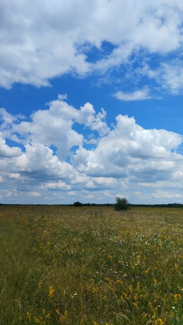 Красота в глазах смотрящего