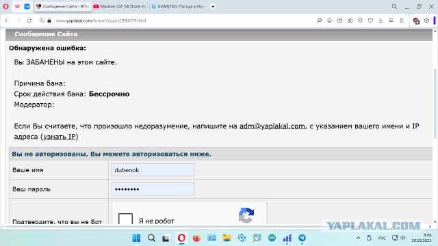 Россияне сообщают о сбоях в работе провайдеров интернета, с трудом открываются многие крупные российские сайты