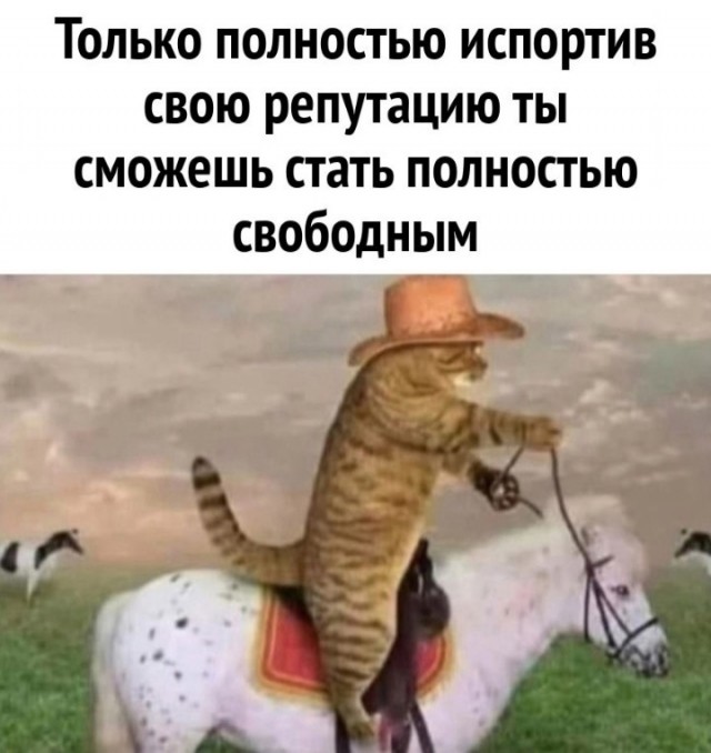 Веселые картинки в маленькую пятницу (02.04)