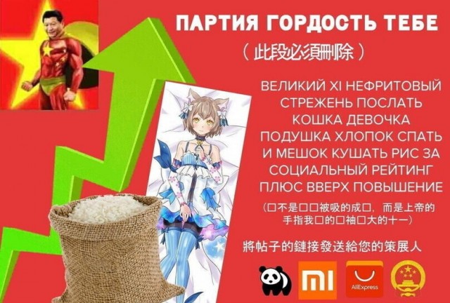 Обычный день китаянки