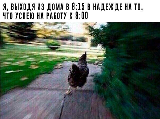 Решил поделиться моей коллекцией боянов