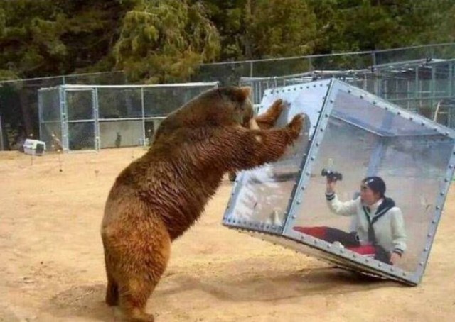 ФотоВинегрет