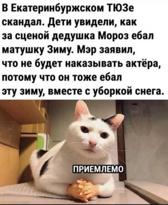 Так себе картинки 13.06.25
