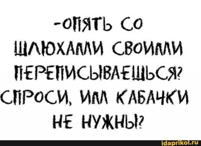 Весёлый полтишок 13.07.25