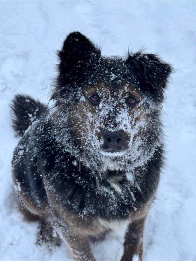 Вот и погостил у бабушки