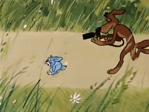 Как будут выглядеть фото во время бега