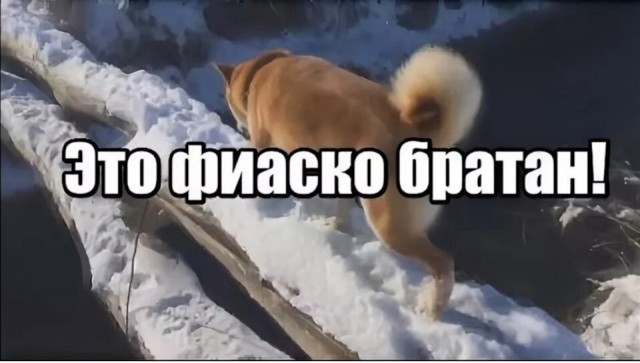 Интересно, что могло пойти не так...