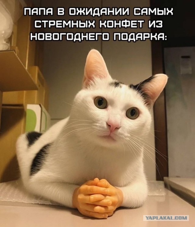Забавные и не очень скромные картинки - 18