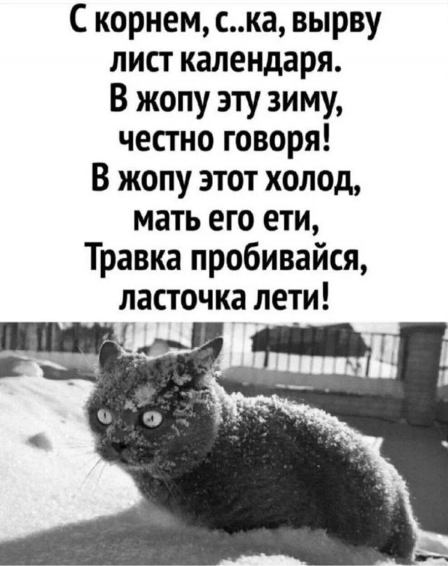 Субботние картинки