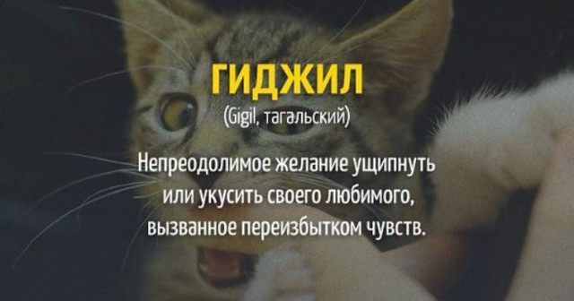 Чуть не откусил ухо
