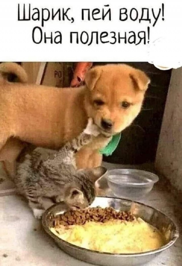 Так себе картинки 18.02.26