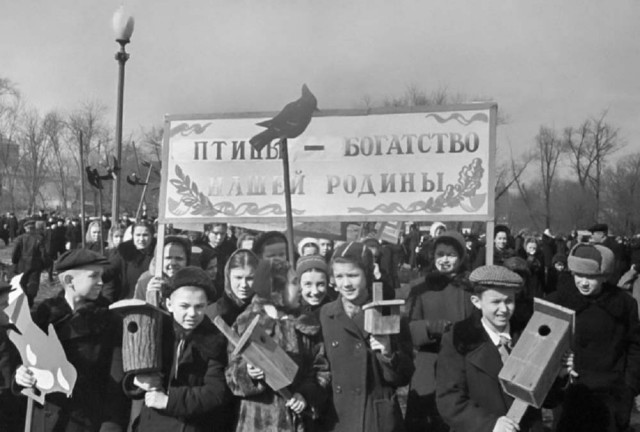Редкие кадры и архивные снимки 25.03.26