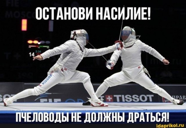 Фехтование перестало выглядеть скучно