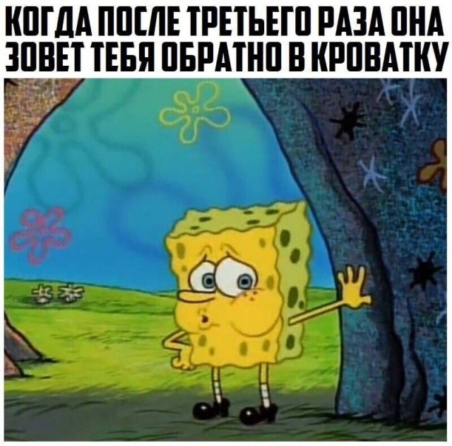 Картинки. Баяны и аккордеоны.