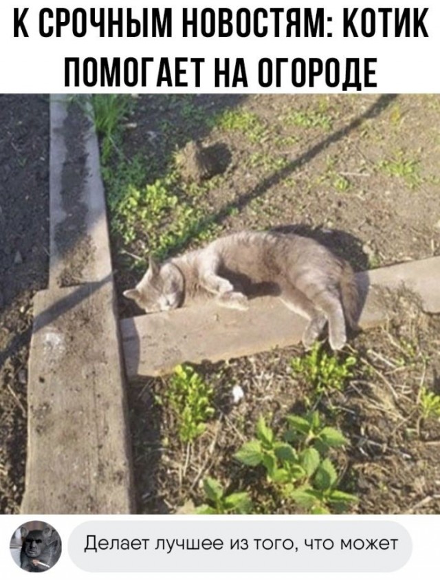 Так себе картинки 24.07.26