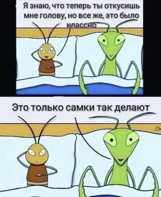 Картинки для деградации 251 (разной степени свежести)