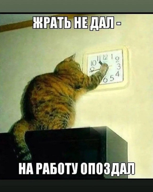 Картинки на среду