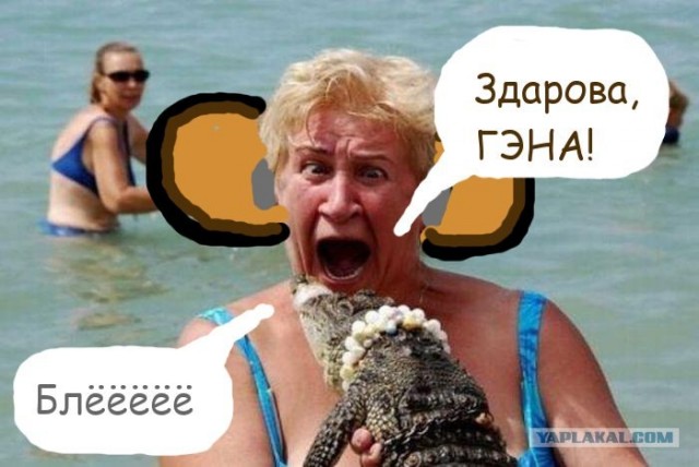 Я не чебурашка!