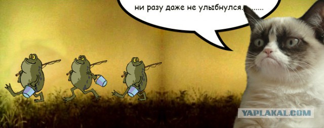 Просил обработать фото.