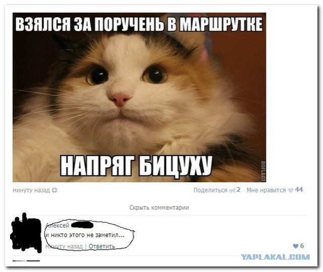 Комменты из соцсетей