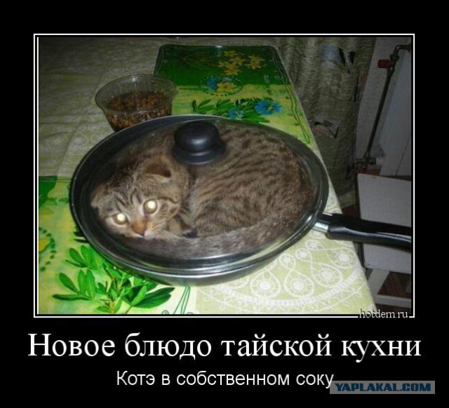 Застрявшие...