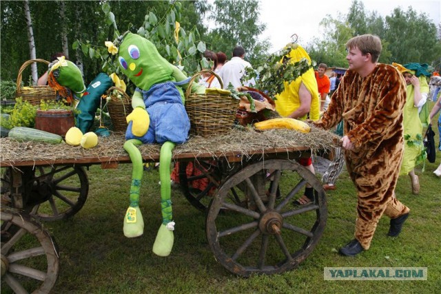 Всем зеленки!