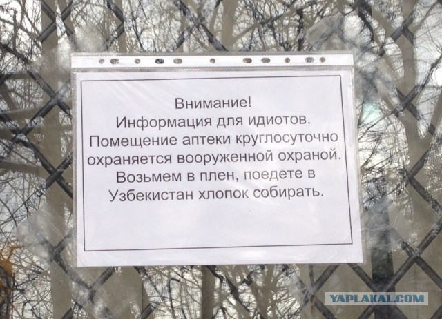 В нашем доме поселился замечательный сосед...