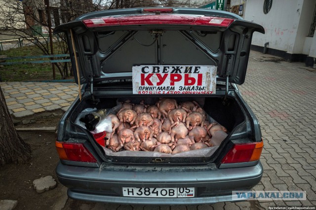 Плохая Махачкала