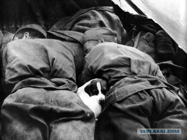 Редкие фотографии из военных архивов
