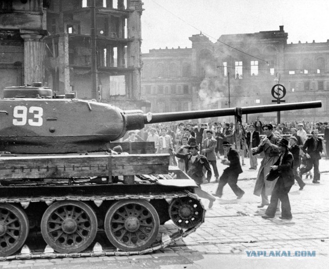 "русского Ивана" домой прогнать