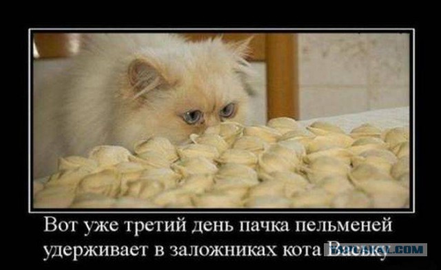 Весёлости в картинках