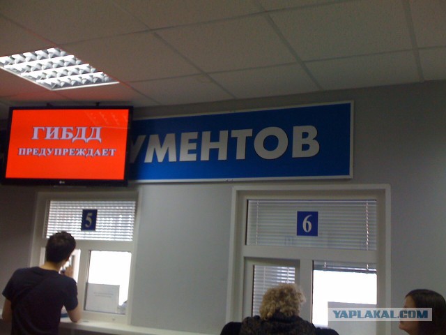 Веселые картинки