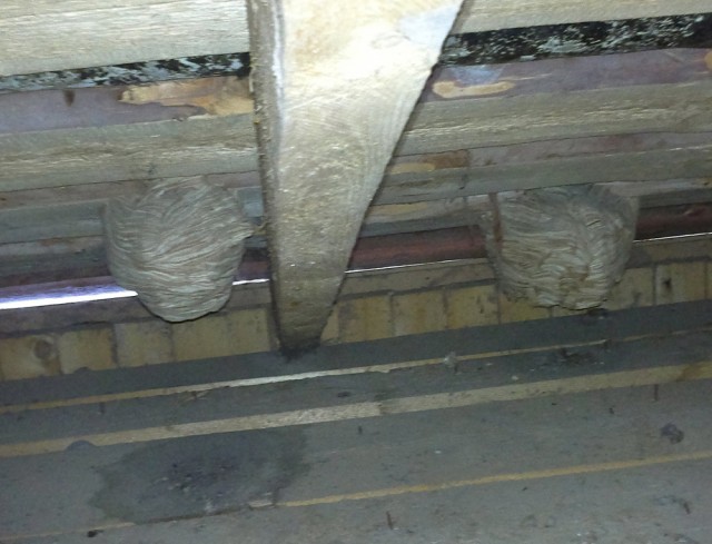 Коттедж опасных соседей