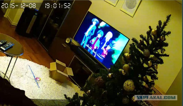 За что я люблю китайцев