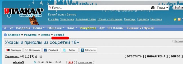 Ужасы и приколы из соцсетей 18+