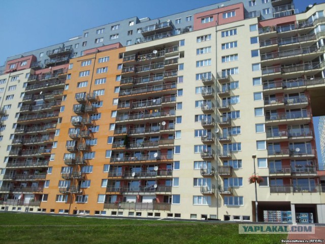 Представители СКР продемонстрировали роскошное убранство виллы мэра Владивостока