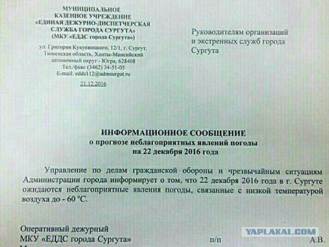 Холодно у нас. - 50