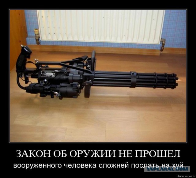 Салют, оружие! Российские власти сделали огромный шаг к легализации короткоствольного огнестрельного оружия