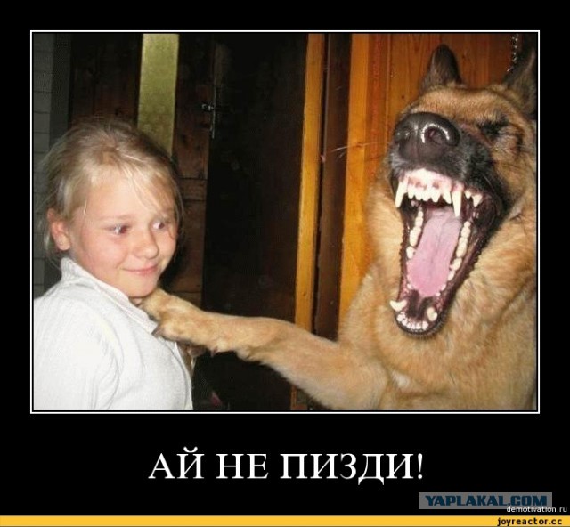 Мнение. А вы как думаете? "Хватит писать от руки. Наших детей надо учить печатать"