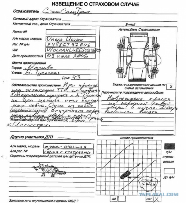 Вот ведь сучка. Скрылась с места ДТП