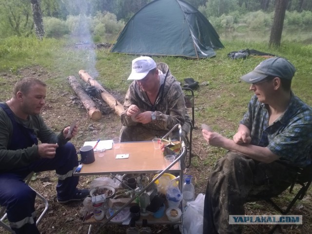 Беседка ФиС ЯПа