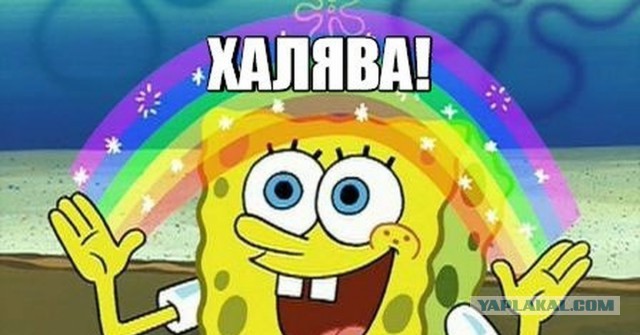 Блогер предложила отелю рекламу в обмен на бесплатный отдых. Ей посоветовали найти работу