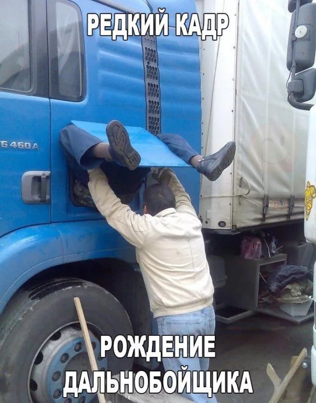 Почему проституток на трассе называют «плечевыми»? Российские дальнобойщики ответили на популярные вопросы о своей профессии