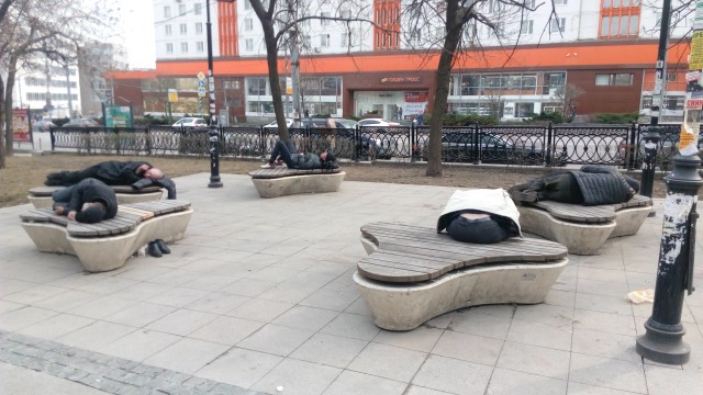 Скотсети и прочие интернеты 01.02.19