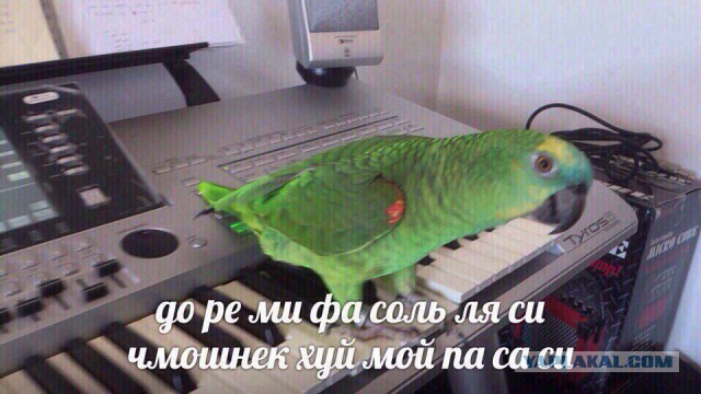 Если ты женат на б**ди!