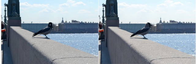 Конфликт между отдыхающими и быдло на берегу Финского залива в Петербурге