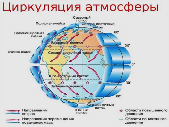 25 интересных фактов о яхтинге, которых вы могли не знать