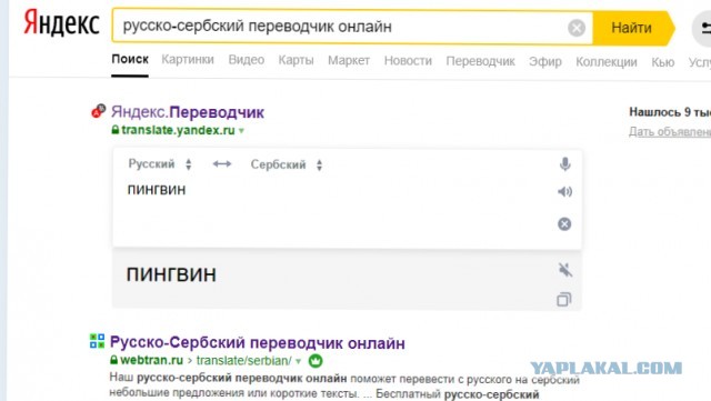 Почему американцев называют «янки»