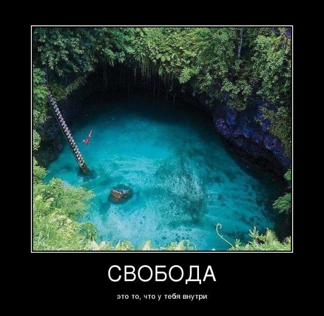 Демотиваторы на среду (08.04.2020)