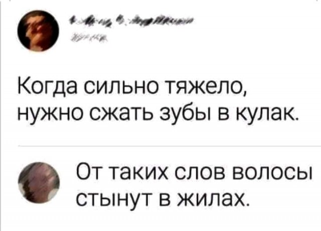 Юмор и прикольные картинки